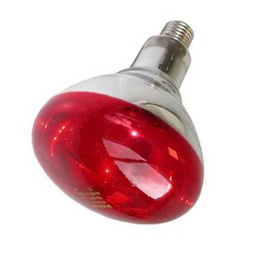 INFRARED LAMP - 250 W