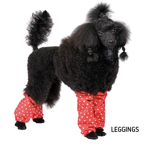 Leggings Polka Dots
