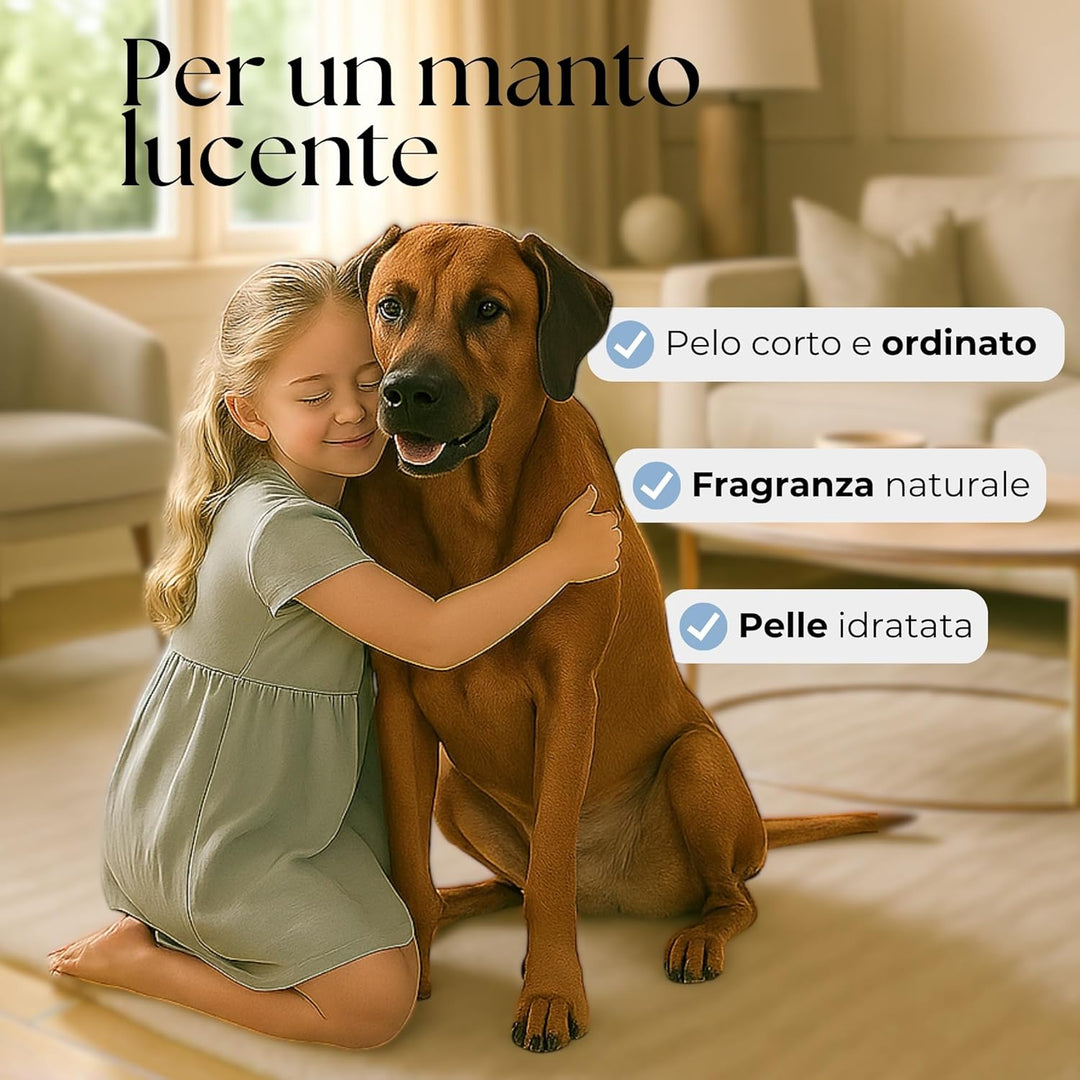 Assopet Short Hair Shampoo