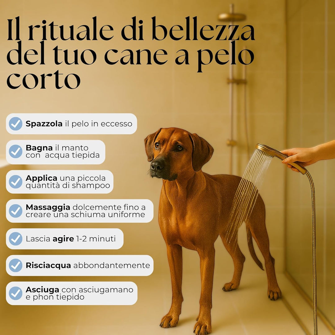 Assopet Short Hair Shampoo