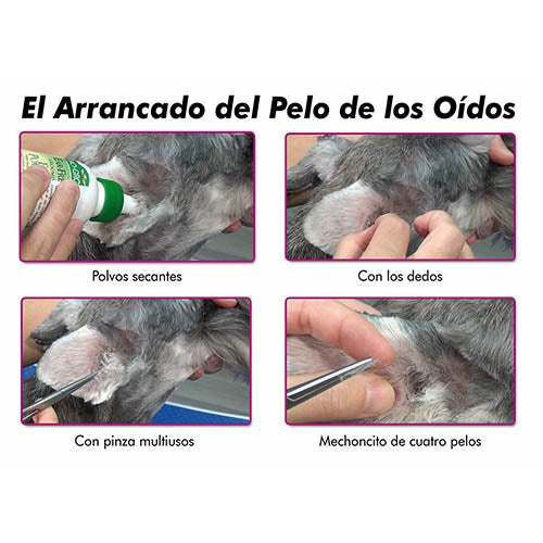 BIO GROOM EAR FRESH EAR POWDER 24g