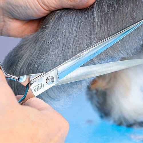 MIA SERRATED STRAIGHT SCISSORS