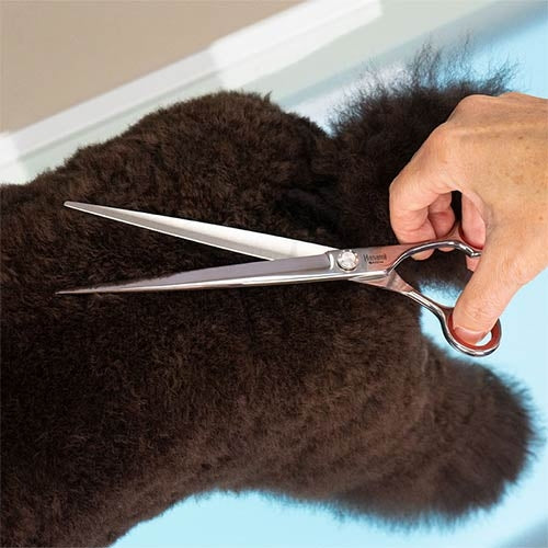 HANAMI STRAIGHT SCISSORS