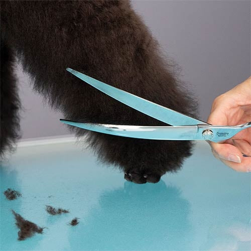 SUMIRE CURVED SCISSORS