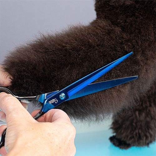 SENA STRAIGHT SCISSORS 20.5cm