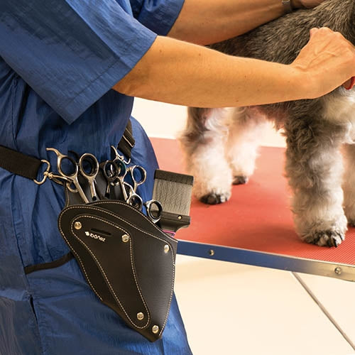 SCISSORS HOLSTER