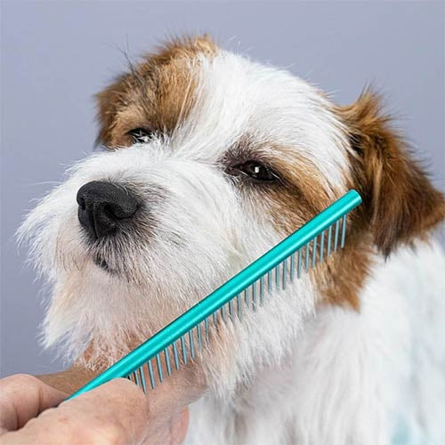 DUAL USE LIGHT COMB