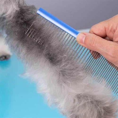 DUAL USE LIGHT COMB