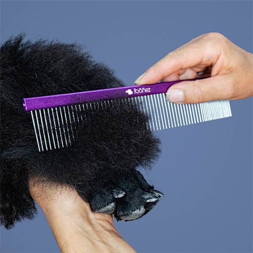 DUAL USE LIGHT COMB