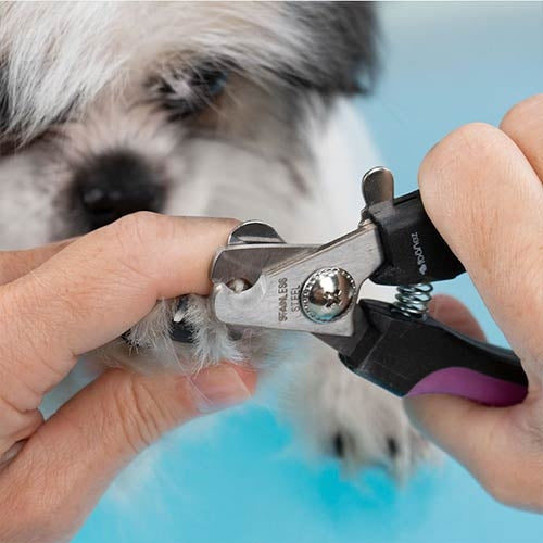NAIL CLIPPER