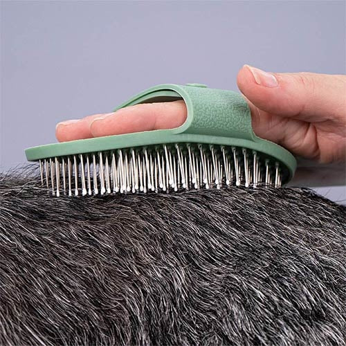 TERRIER BRUSH
