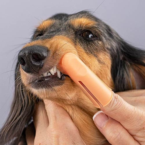 TOOTH FINGER BRUSH - 2 units