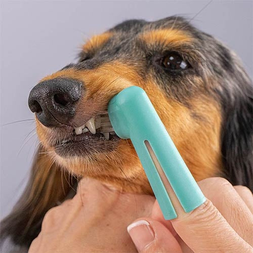 TOOTH FINGER BRUSH - 2 units