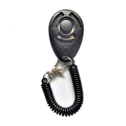 CLICKER WITH ELASTIC BAND