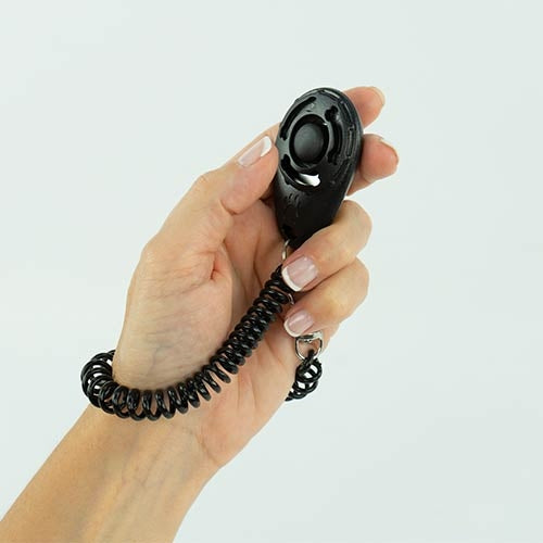 CLICKER WITH ELASTIC BAND