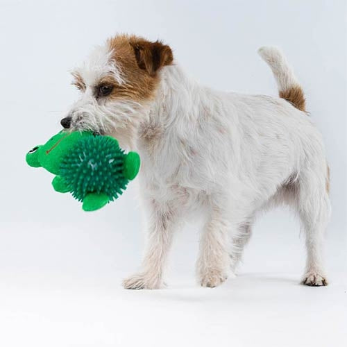 DUCK AND FROG SOFT TOYS WITH BALL