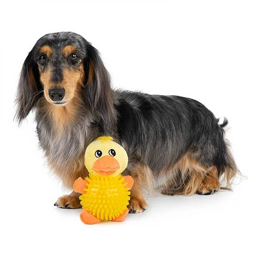 DUCK AND FROG SOFT TOYS WITH BALL