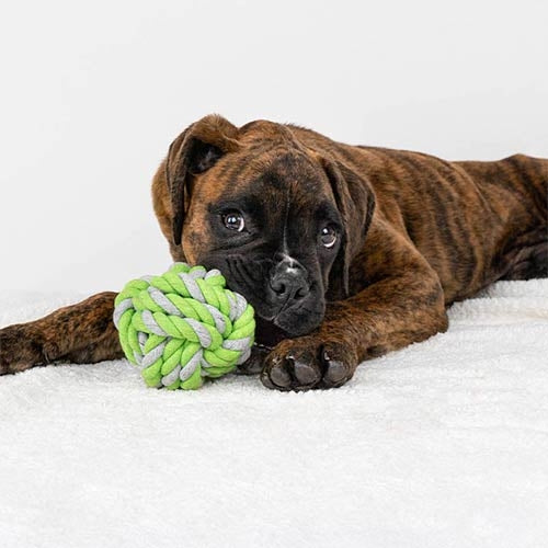 MINT KNOT BALL