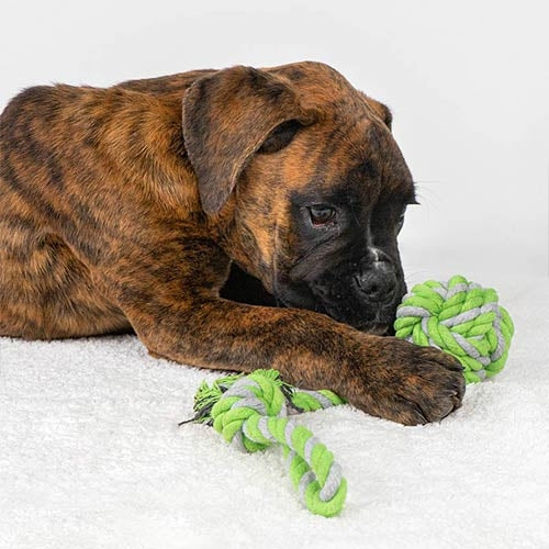 MINT KNOT ROPE