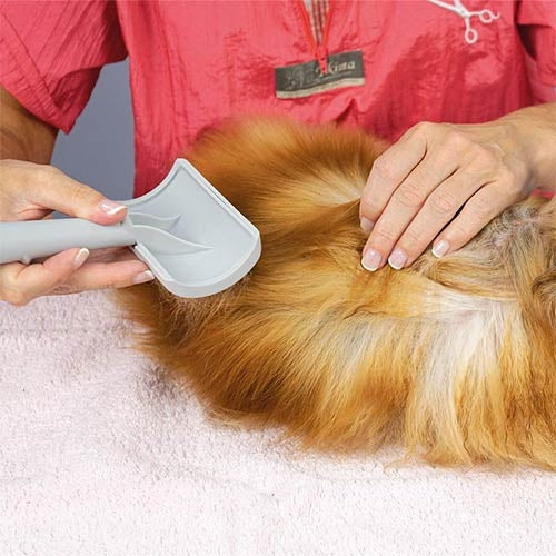 LONG-HANDLED SLICKER BRUSH