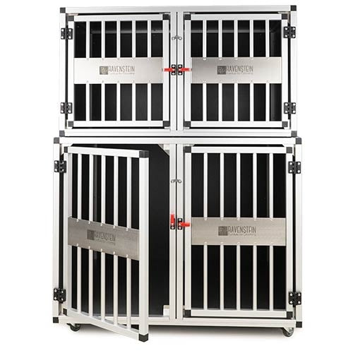 BOX PRO WAITING CAGE