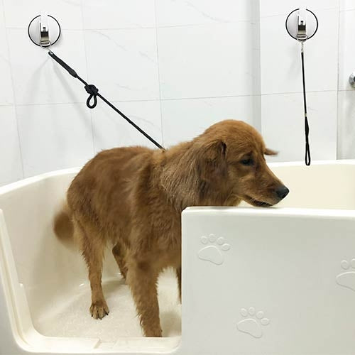 BATH SUCTION DISC WITH NOOSE