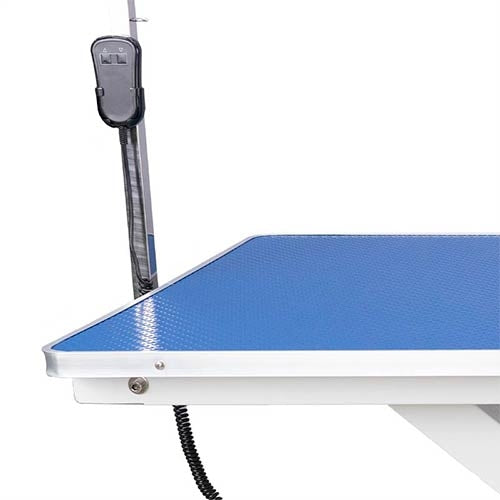 ELEGANCE ELECTRIC TABLE 120x65x46/96 cm