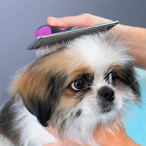 SOFT SLICKER BRUSH