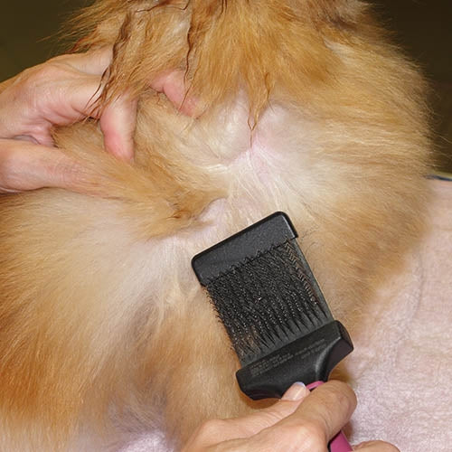 EXTRA SOFT FLEXIBLE SLICKER BRUSH