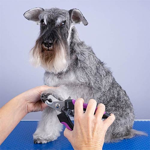 NAIL CLIPPER