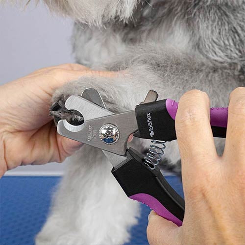 NAIL CLIPPER