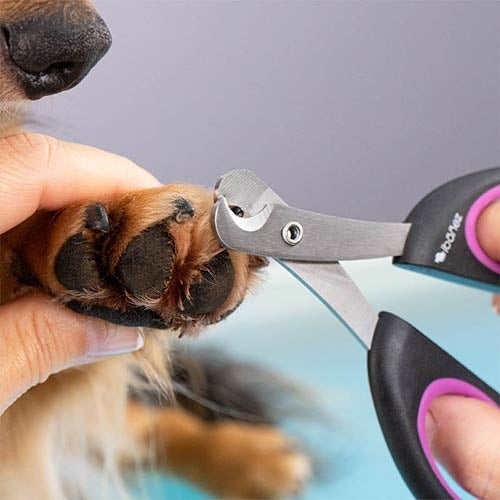 NAIL CLIPPER