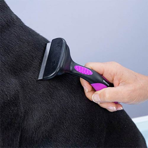 Pet Vaciator