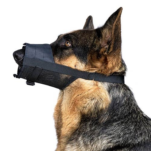 EASY WALK MUZZLE