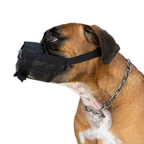 EASY WALK MUZZLE