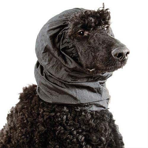 EAR PROTECTOR - LUXE
