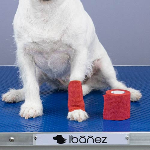 COHESIVE ELASTIC BANDAGE