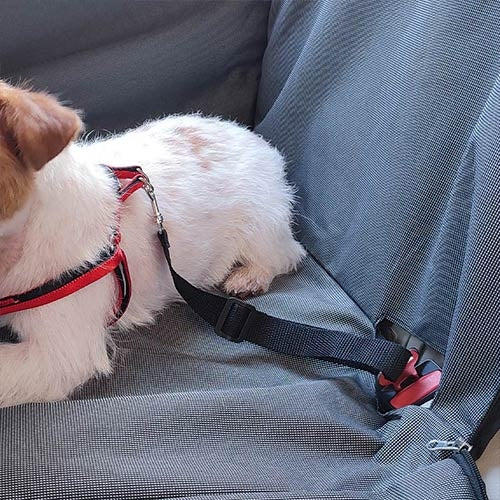 INDIVIDUAL CAR SEAT COVER - 66 x 55 cm
