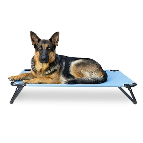 ON TOP ELEVATED PET BED - SMALL - 60 x 42 x 14.5 cm
