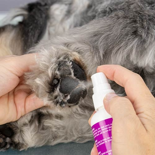 KW PAW CARE SPRAY - 50 ml