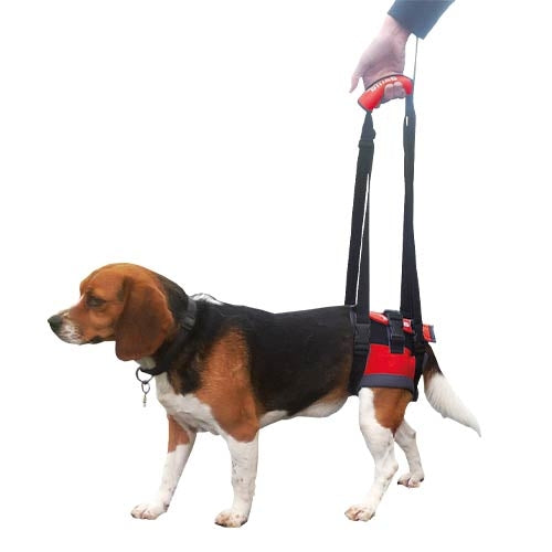 HANDY CANIS REAR MOBILITY HARNESS