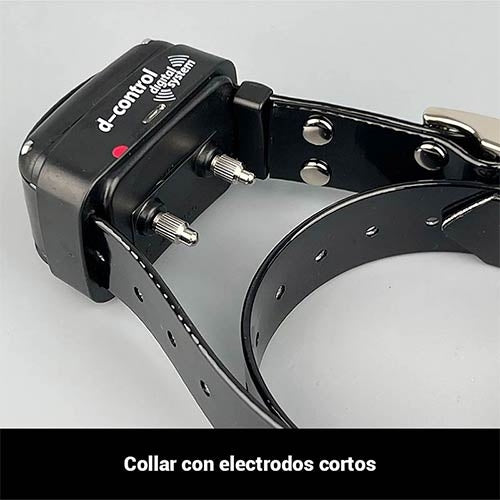 DOGTRACE D-CONTROL EASY TRAINING Collar