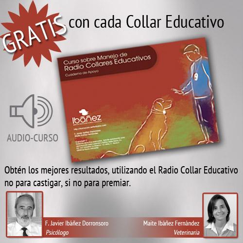 DOGTRACE D-CONTROL EASY TRAINING Collar