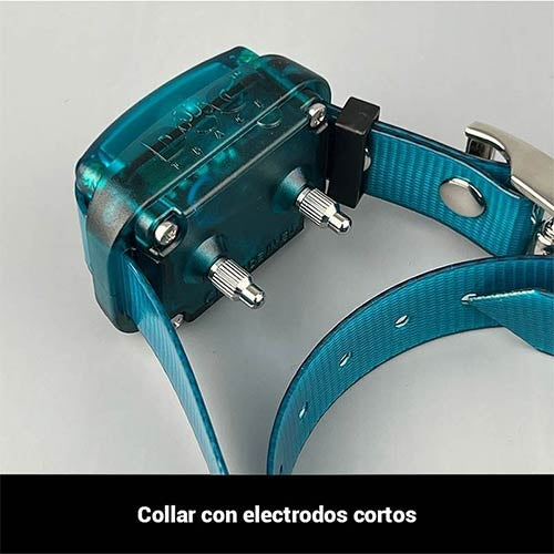 DOGTRACE D-CONTROL EASY MINI TRAINING Collar