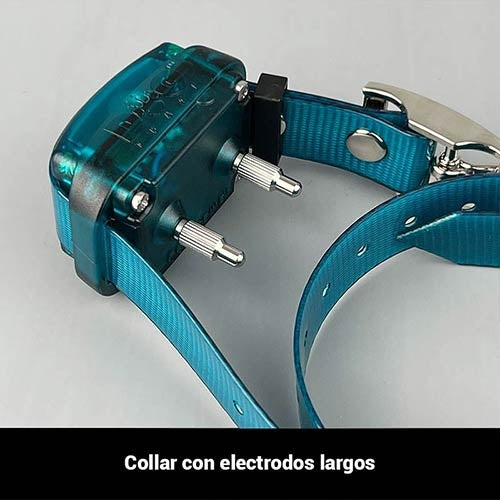 DOGTRACE D-CONTROL 200 MINI TRAINING Collar