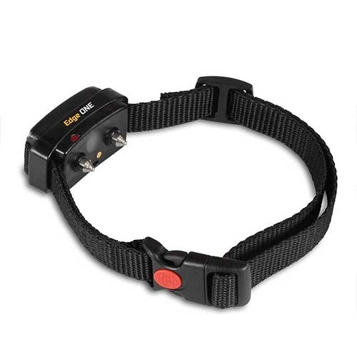 DOGTRACE D-CONTROL ADDITIONAL Collar
