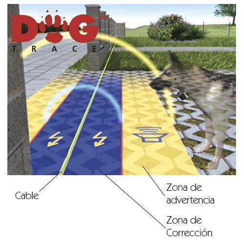 DOGTRACE D-FENCE 6TH SENSE DIGITAL INVISIBLE DOG FENCE