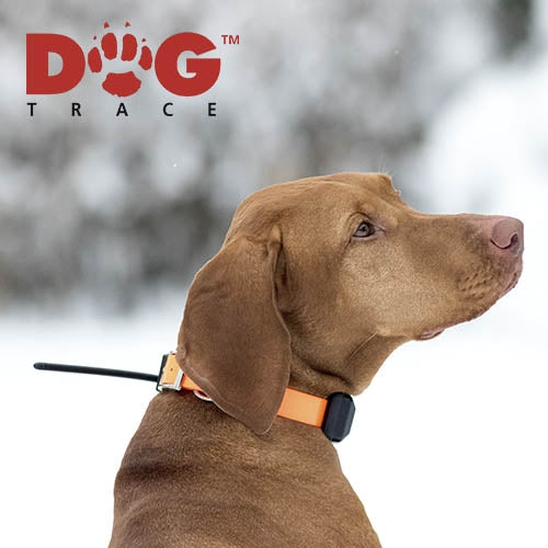 DOGTRACE GPS X20 + ADDITIONAL Collar