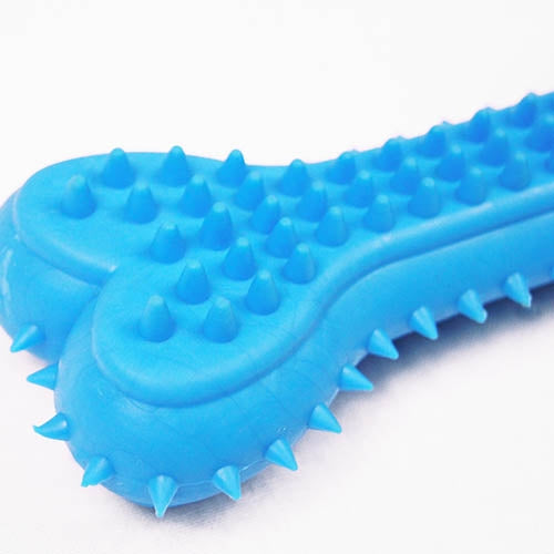 SPIKEY BONE TPR TOY - 15 cm