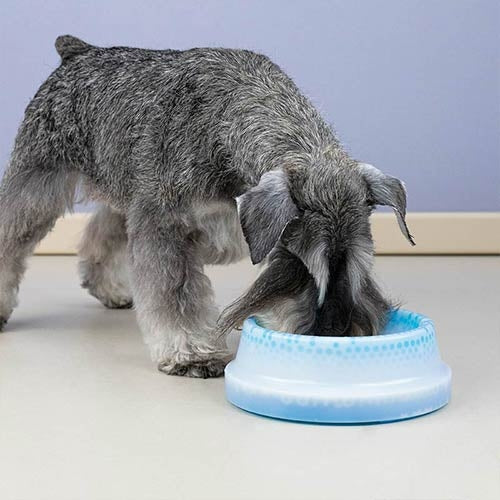 COOLING WATER BOWL - 550 ml